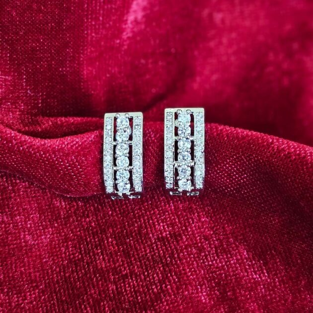 Earrings - 12